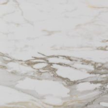 Alustra Florida Tile  Imperial Gold Calacatta FTIALU2024x24