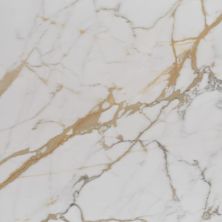 Alustra Florida Tile  Imperial Gold Calacatta FTIALU2024x48