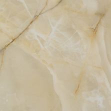 Alustra Florida Tile  Opulent Beige Onyx FTIALU3024x24
