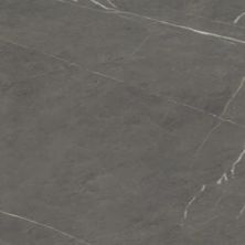 Alustra Florida Tile  Sovereign Gray FTIALU40P12x24