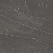 Alustra Florida Tile  Sovereign Gray FTIALU4024x48
