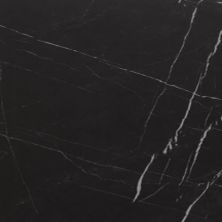 Alustra Florida Tile  Regal Black FTIALU50P12x24