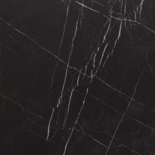 Alustra Florida Tile  Regal Black FTIALU50P24x24