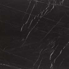 Alustra Florida Tile  Regal Black FTIALU50P24x48