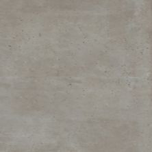 Florida Tile Artecrete Greige Deco FTIATC40D12x24