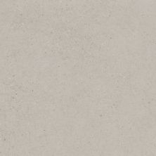 Florida Tile Canal Street Cafã© Light Gray FTICST2024x48
