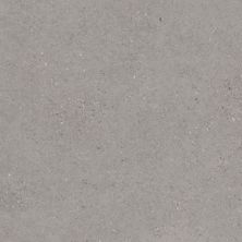 Florida Tile Canal Street French Gray FTICST3024x48