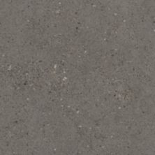 Florida Tile Canal Street Black Bayou FTICST5012x24