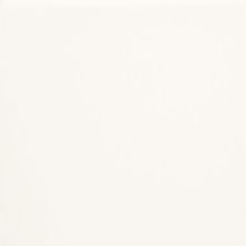 Florida Tile Fluent Cream Glossy FTIFLT20G3x12
