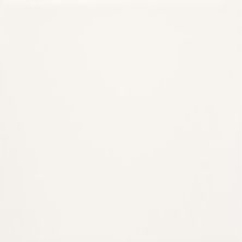 Florida Tile Fluent Cream Glossy FTIFLT20G4x16