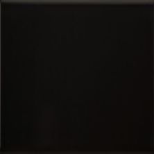 Florida Tile Fluent Black Glossy FTIFLT40G4x16