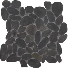 Pebbles Florida Tile  Black Pearl Flat FTIFP10212X12