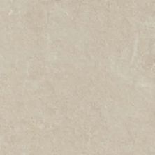 Florida Tile High Ridge Pinnacle Beige FTIHRG2012x12
