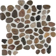 Pebbles Florida Tile  Mixed Salad Round FTIPT10412X12