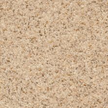 Lifescape Designs Ecstatic Textured Sand Motif G526620179