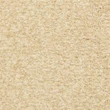 Masland Carpets & Rugs Colorworks Bermuda Sand 6865-10011