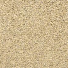 Masland Carpets & Rugs Colorworks Sand Storm 6865-20220