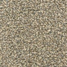 Masland Carpets & Rugs Colorworks Rivulet 6865-60927