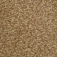 Masland Carpets & Rugs Colorworks High Point 6865-70624