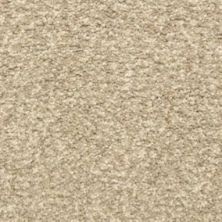 Masland Carpets & Rugs Colorworks Granite 6865-80857