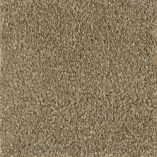 Karastan Creative Touch TEXTURE Greek Column GF1033-9828