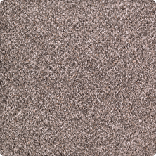 Karastan Quiet Refuge CUT PILE TEXTURE Sheffield Grey GF63560-6931