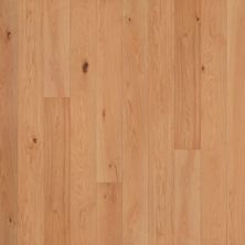 Garrison Allora 7-1/2″ Strada GFALO7506