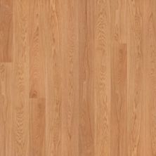 Garrison Allora 7-1/2″ Strada Select GFALO7506S