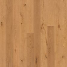 Garrison Allora 7-1/2″ Volto GFALO7508