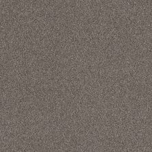 Shaw Floors Good Call Baltic Stone GF289111