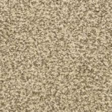 Masland Carpets & Rugs Colorworks Grey Scale 6865-80725