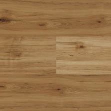 Torlys Artisan Elite Hollybrook Maple HCU68333