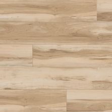 Metroflor Inception – 120 Church Street Maple 7950