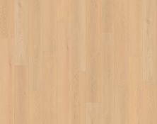 Lions Floor Seaside Summit Sandstone Whisper LI-SS04
