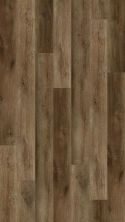 Lions Floor District Max Brookline LI-DM10