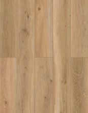 Lions Floor Indoor Delight Shoreline Décor LI-ID12