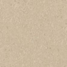 Karndean Art Select Gluedown Sabbia Ceppo LM44