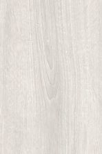 Forest Accents Eloquence Plank Glacier Oak LQNCRK