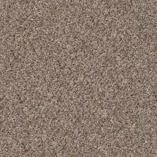 Shaw Floors Mandalay Bay (b) Brown Reed E9956751