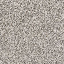 Shaw Floors Mandalay Bay (b) Stone E9956550