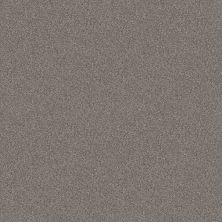 Shaw Floors Mandalay Bay (t) Stainless E9955542