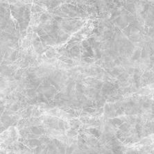Forbo Flotex Marble Light Gray FOR-216066