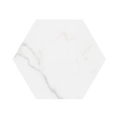 Massa Marble Style Access  Carrara 9×10 Hexagon MASCARHEX