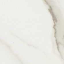Anatolia Mayfair Calacatta Oro 4500-0370-1
