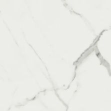 Anatolia Mayfair Statuario Venato 4500-0380-1