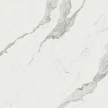 Anatolia Mayfair Statuario Venato 4500-0386-1