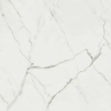 Anatolia Mayfair Statuario Venato 4500-0387-1