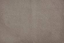 Stanton Atelier Marquee Melody Taupe MLDYTP