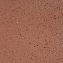 Florida Tile Metropolitan Quarry Commercial Red (XA Abrasive®) FTI7731X8X8