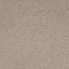 Metropolitan Quarry Florida Tile  Stone Gray (XA AbrasiveÆ) FTI7757X6X6